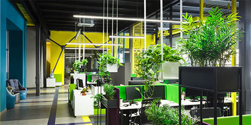 Commercial Services